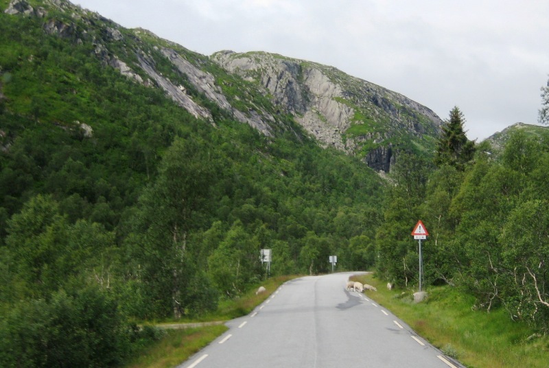 onderweg van Dalen naar Byglandsfjord 2016 1